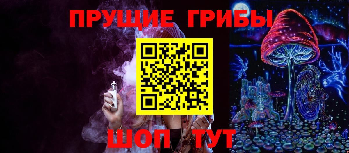 Краснознаменск  цены наркотик  Вход с VPN  Псилоцибиновые грибы ЛСД 